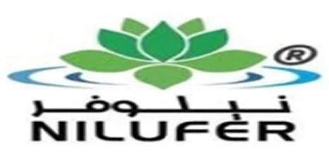 قصص النجاح